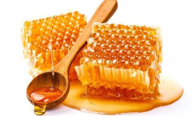 Cairan Manis Alami Madu Yang Sangat Bermanfaat