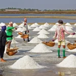 Bumbu Dapur Garam Yang Memiliki Proses Pembuatan