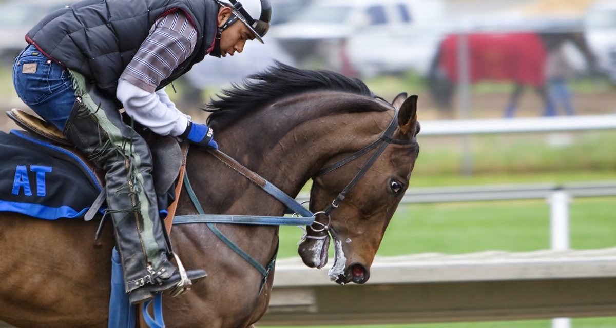 Menunggangi Kuda Merupakan Salah Satu Olahraga Mahal