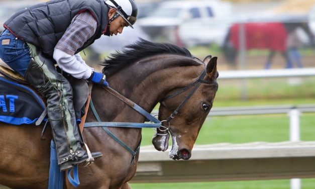 Menunggangi Kuda Merupakan Salah Satu Olahraga Mahal