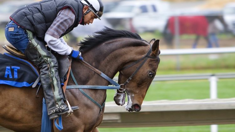 Menunggangi Kuda Merupakan Salah Satu Olahraga Mahal