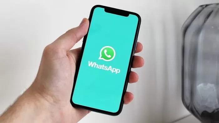 Pesan Instan Melalui Aplikasi Whatsapp Yang Sedang Di Gunakan