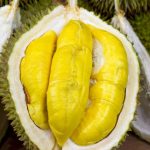 Terkenalnya Durian Buah Di Negara Tropis Yang Wangi
