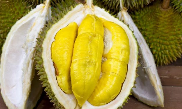 Terkenalnya Durian Buah Di Negara Tropis Yang Wangi