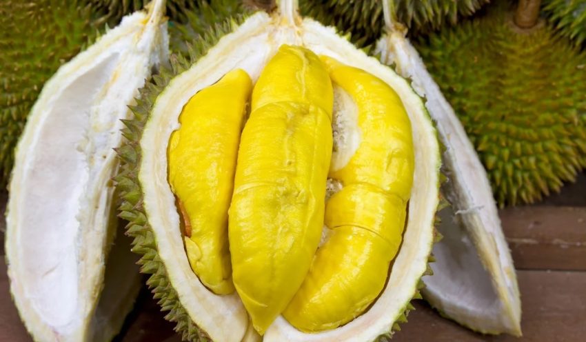 Terkenalnya Durian Buah Di Negara Tropis Yang Wangi