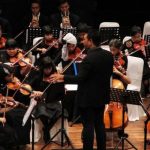 Keahlian Bidang Musik Oleh Seorang Musisi