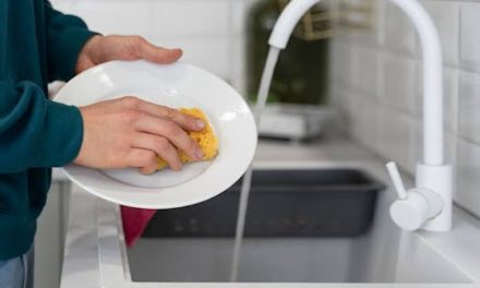 Peralatan Makan Piring Sebuah Wadah
