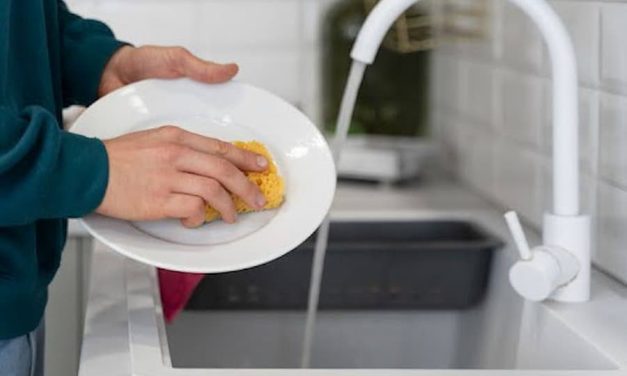 Peralatan Makan Piring Sebuah Wadah