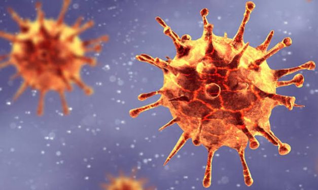 Sebuah Keberadaan Virus Sebagai Mikroorganisme Kecil