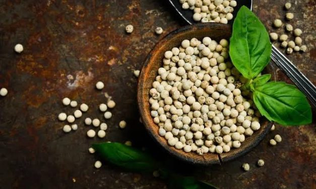 Bahan Masakan Lada Dari Tanaman Rempah Indonesia