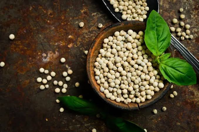 Bahan Masakan Lada Dari Tanaman Rempah Indonesia