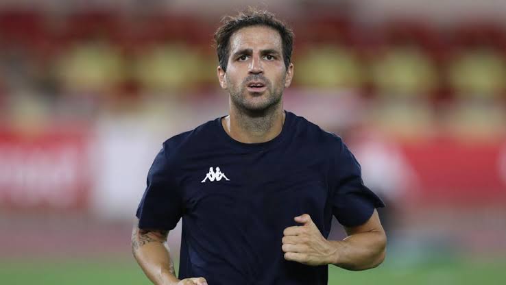 Pesepakbola Gelandang Kreatif Seorang Pemain Cesc Fabregas