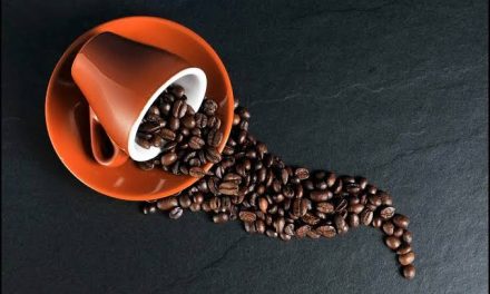 Tanaman Biji Kopi Sebagai Minuman Terlaris