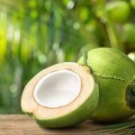 Sebuah Hasil Alam Kelapa Dengan Manfaatnya