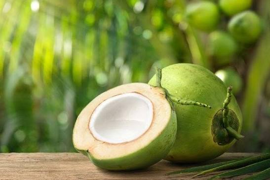Sebuah Hasil Alam Kelapa Dengan Manfaatnya